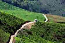 Trekking