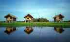 Majuli Island


                                    