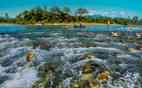 Nameri National Park – River & Wildlife Assam