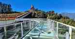 Sky Walk


                                