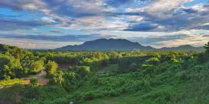 Nature Trails & Forest Treks
                                