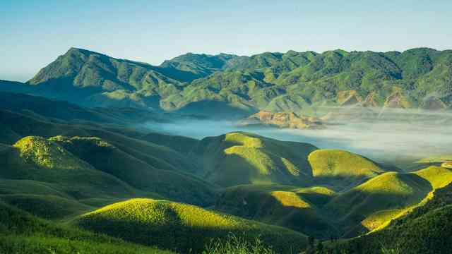 Scenic Landscapes

                            