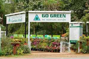 Evergreen Nursery & Garden