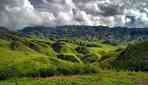 Japfu Peak



                                