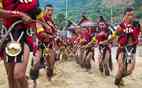 Tribal Festivals

                            