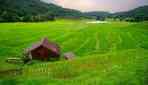 Relax in the Hills


                    