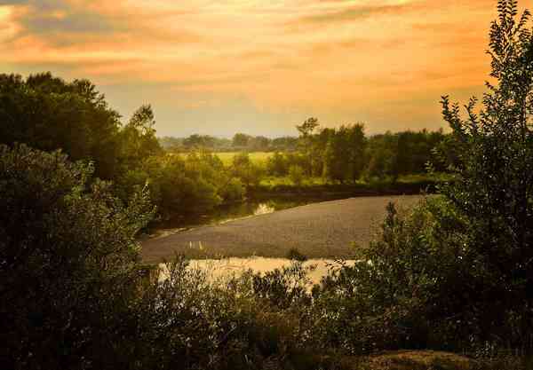 Tirap River
                                