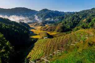 Photography & Sightseeing
                    