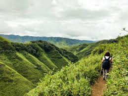 Trekking & Hiking


                    