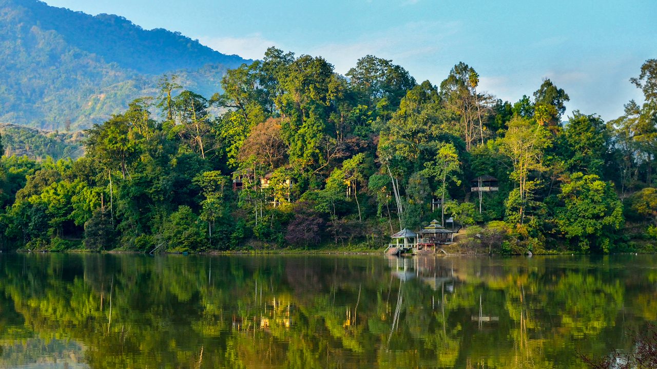 Jungle Trekking & Exploration
                        