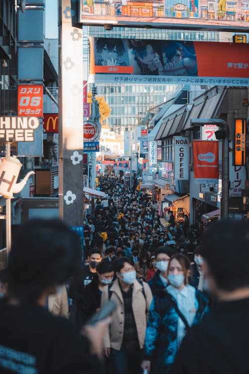 Visit Harajuku. - Image 1
