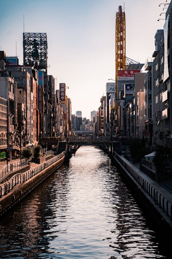 Visit Dotonbori, Osaka - Image 2