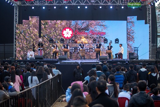 Shillong Cherry Blossom Festival 2025: Complete Travel Guide from Guwahati to Shillong with Wizzride
